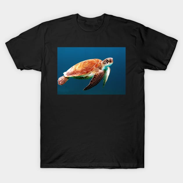 Sea turtle T-Shirt by MinnieWilks